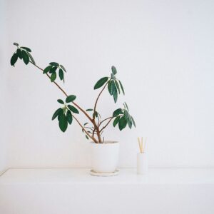 yi-sk-yuFvmjQa0gU-unsplash